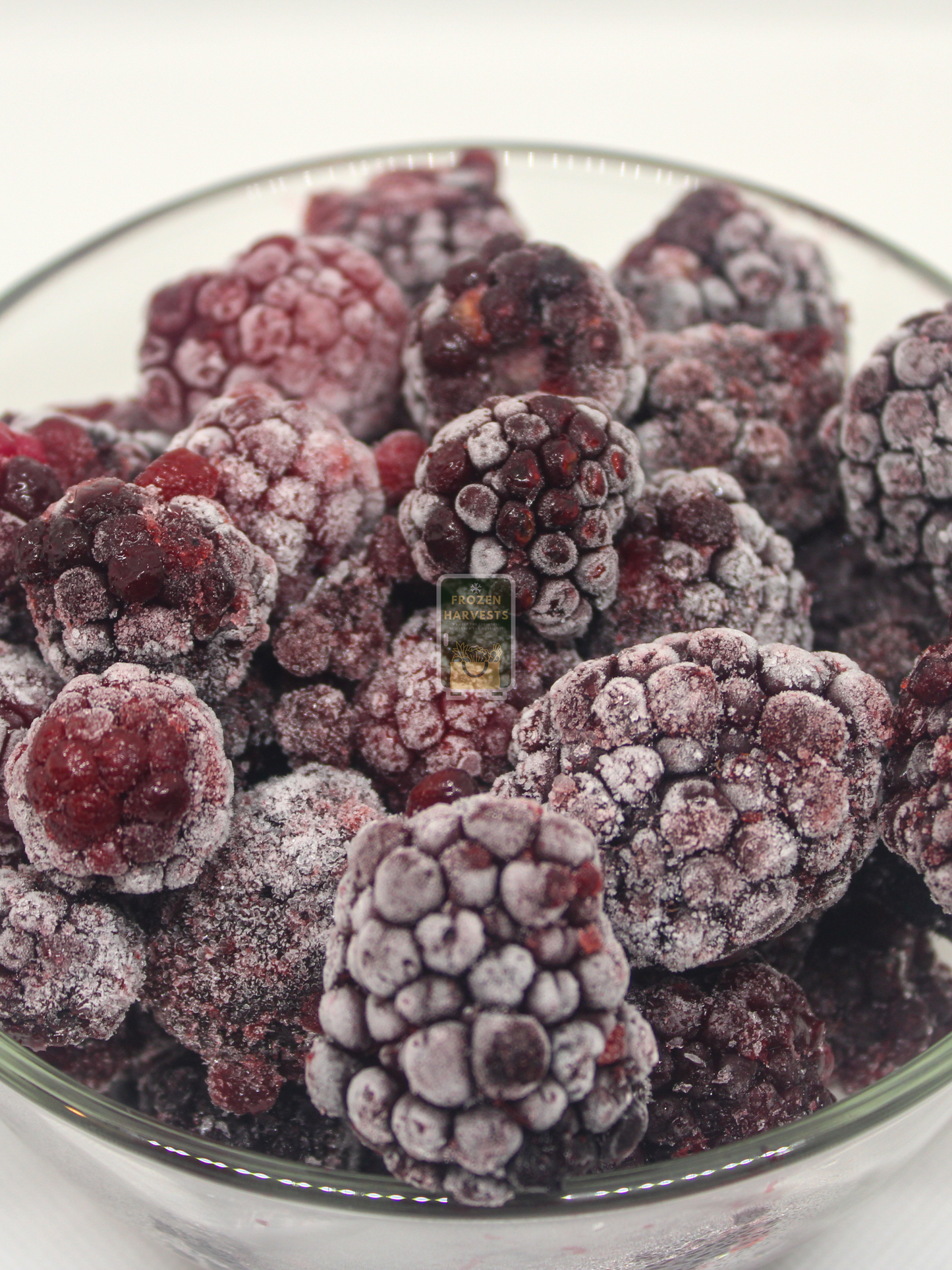 Frozen Harvests Blackberry